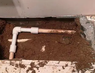 延庆测漏水哪家好