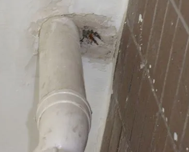 延庆漏水检测哪家好